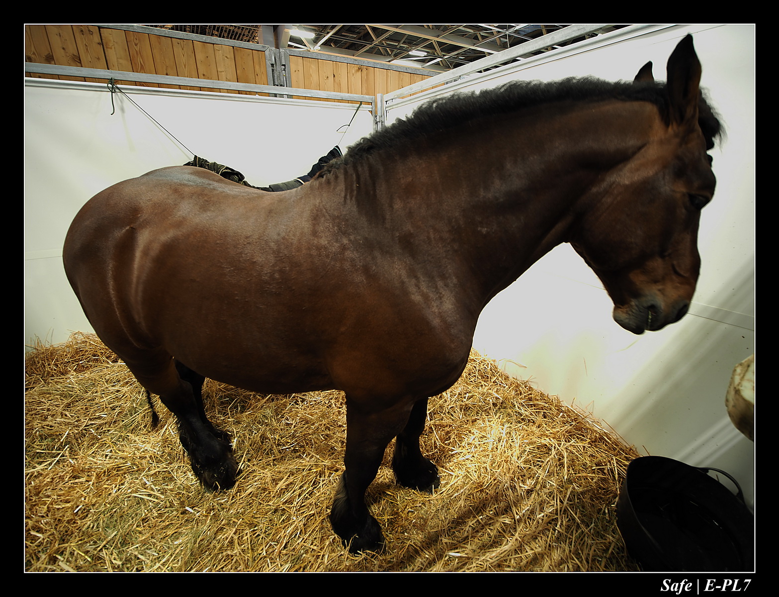 2020 - 02 - Salon agriculture 01